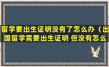 留学要出生证明没有了怎么办（出国留学需要出生证明 但没有怎么办）